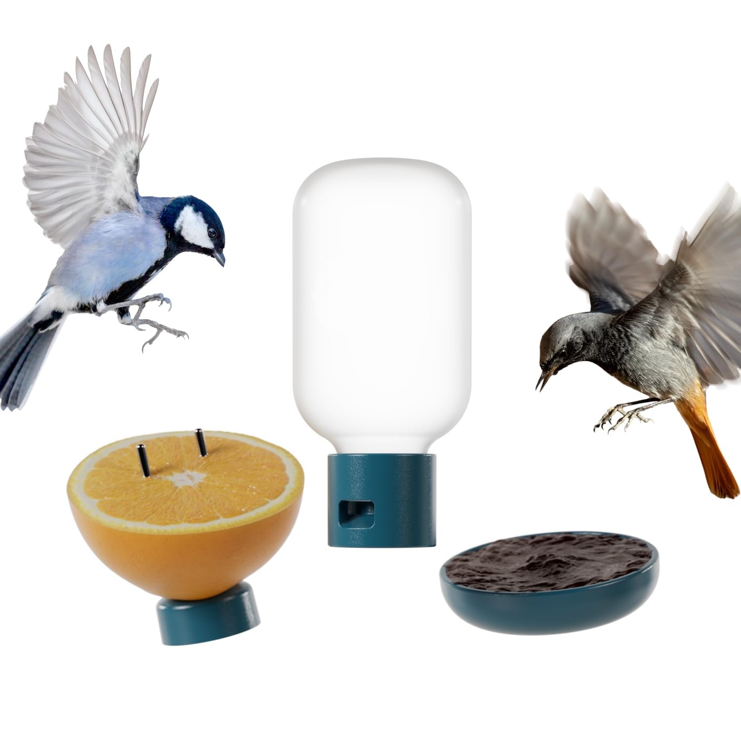 Ensemble de nutrition 3 en 1 oiseaux accessoires d'extérieur premium en bois de cèdre naturel