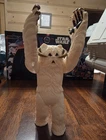Kenner Star Wars Vintage Wampa Action Figure 1981 Empire Strikes Back