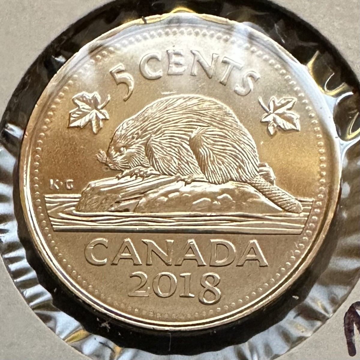 2018 Canada 5c Nickel UNC Coin - Beaver Tail Error! | eBay