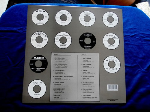 ARE YOU EXCITED~ROCKIN PARTY~MAD MONSTER'S~HABAKABA~ ROCKABILLY LP - Imagen 2 de 2