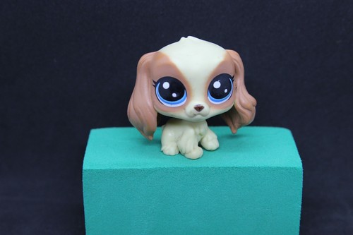 petshop pet shop LPS rare chien chat européen colley teckel dog