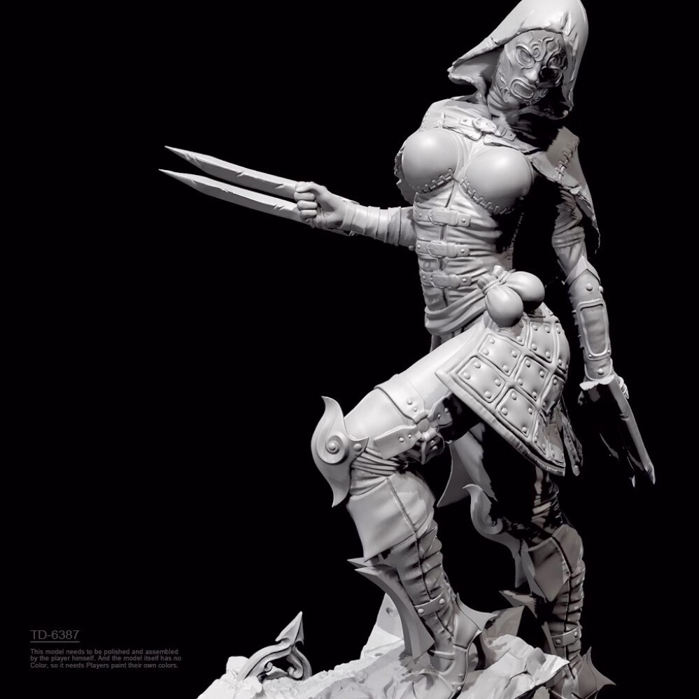 1/24 resin figure model Double seductive female assassin 3D Print ...