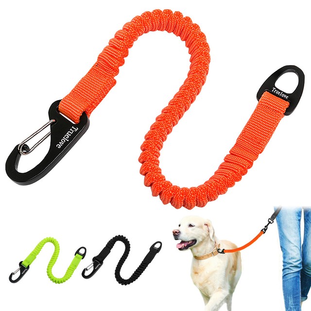 stretchable dog leash