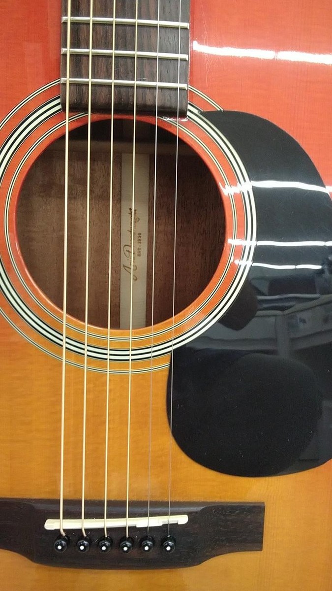 Aria Dereadnought Est.1956 Acoustic Guitar Safe delivery from