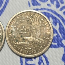 Sacagawea Native American $1 Dollar Coins 2000 P Circulated Copper Lot