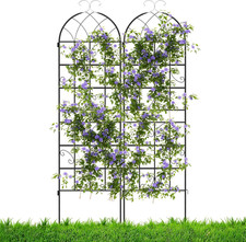 Traliccio per Rampicanti Di 2 Pezzi, Pannelli Decorativi per Recinzione Da Giard