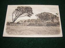 VINTAGE POSTCARD BLUE ANCHOR COUNTRYSIDE VIEW  MINEHEAD WATCHET