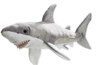 shark teddy