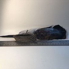 Vintage Hat Feather, Stetson, Resistol, Style, Turkey And Others