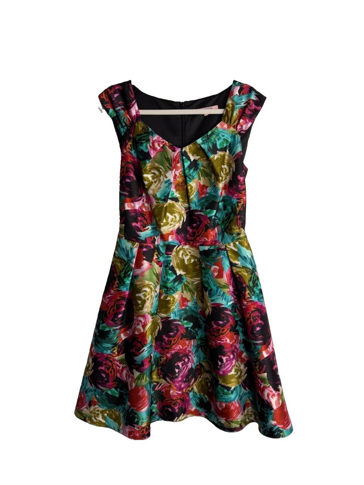 Review dress size 10  Multicoloured Floral polyester Fit & Flare V-Neck 