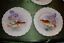 thumbnail 3  - ANTIQUE LIMOGES FLAMBEAU HAND PAINTED PLATTER AND 12 PLATES FISH GAME SET, IRIS