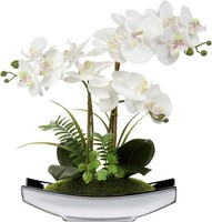 Briful Kunstblumen Orchideen KüNstliche Phalaenopsis Bonsai Kunstblumen Wie
