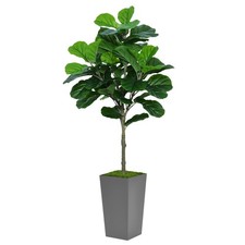 Fiddle Leaf Fig Tree Artificial 5FT - Faux Fiddle Leaf Fig Tree with Gray Tal...