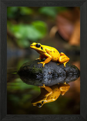 Golden Beauty Dart Frosch gerahmtes Wandbild Poster Leinwanddruck Bild
