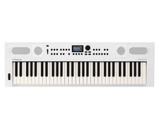 Roland GOKEYS5-WH 61-Key Music Creation Keyboard - White