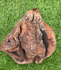 Manzanita Burl Driftwood for Fish Reptile Aquariums, Crafts, Decor 9x9x6