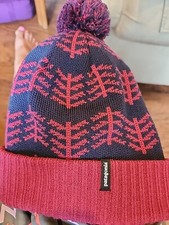 Patagonia Powder Town Pom Beanie Worn Once