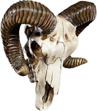 Pacific Giftware Ram Skull and Horns Baphomet Wall Trophy Decor 11 Inch