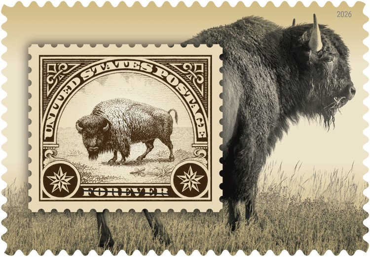 #6098 2026 American Bison  - MNH