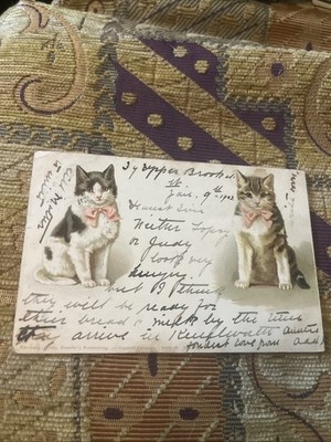 Antike 1903 Katze Kätzchen Postkarte niedliche Schleife Band Katzen Aquarell Serie Nr. 28