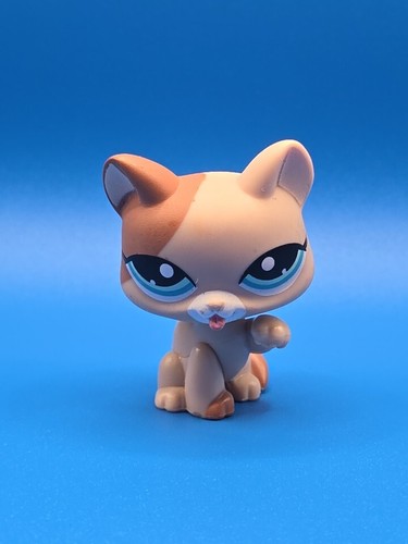 LPS 2008 C-031G Brown Cat ๐ Licking Paw Blue Eyes 2 Dots Littlest Pet Shop - Picture 7 of 8