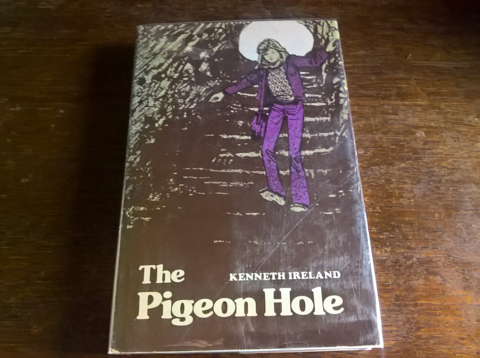 The Pigeon Hole by Kenneth Ireland 1st Edn hb dj children's fiction