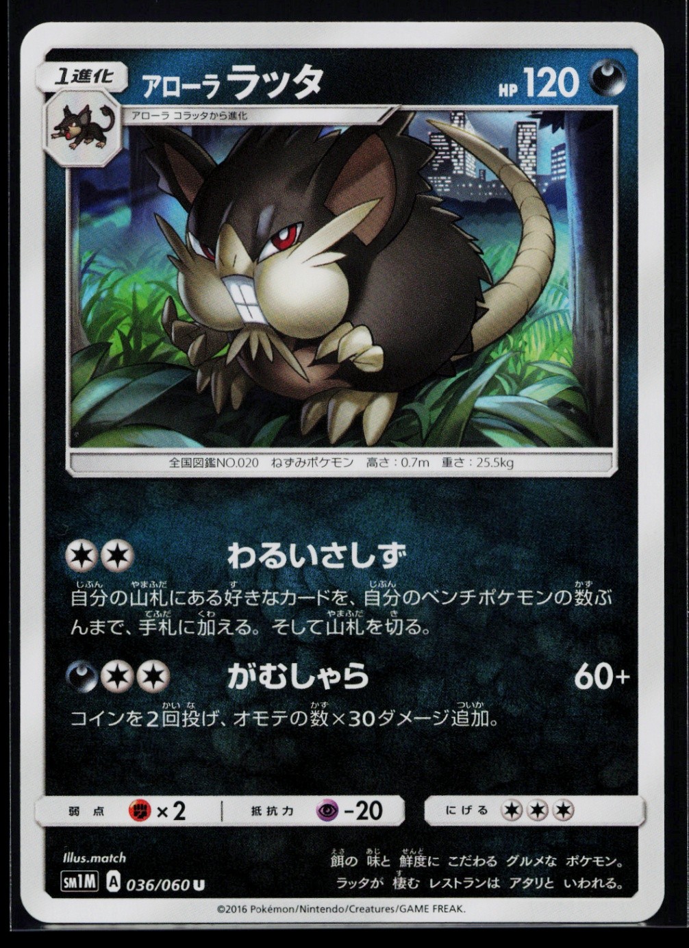 Alolan Raticate Uncommon SM1M: Collection Moon 036/060 NM B947