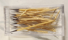 Porcupine Quills 1 Crafts Jewelry Montana 1950 s