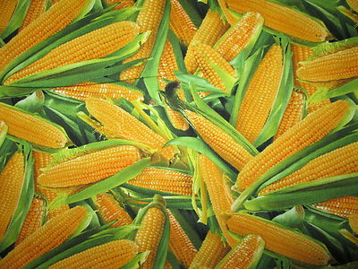 Corn Husks Cobb Snacks Food Cotton Fabric FQ 