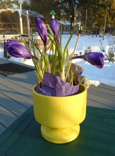 VTG Haeger Pottery Footed Planter Sunny Yellow Glossy, 5" Tall, Decor, Spring!