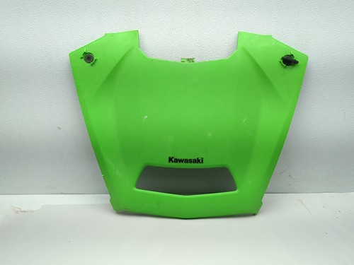 20-24 Kawasaki KRX4 Teryx 1000 Front Hood Cover Panel 14093-0805-290