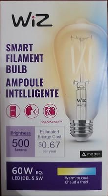 WiZ Connected 60W ST19 Tunable White Filament LED Smart Bulb E26 WiFi Matter
