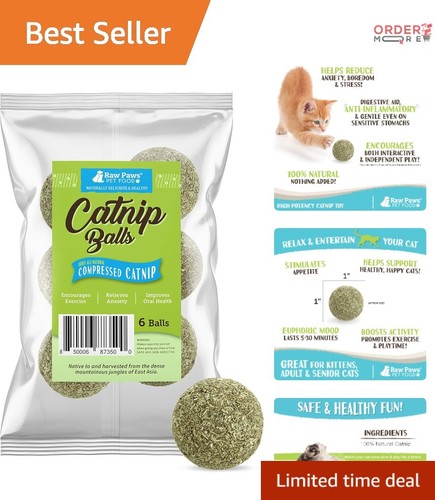 Catnip Balls for Cats, 6 Pack - Interactive Toy for Indoor Use, Natural Treats