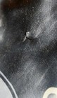 Bild 11 von 13