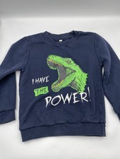 Unisex Kids Blue  Green Pullover Dinosaur Sweater Size 5T