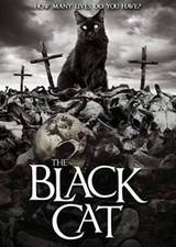 The Black Cat - VERY GOOD