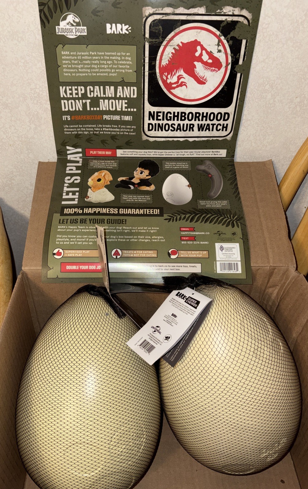 New Jurassic World & Bark Box Super Chew Solid Dinosaur Egg 