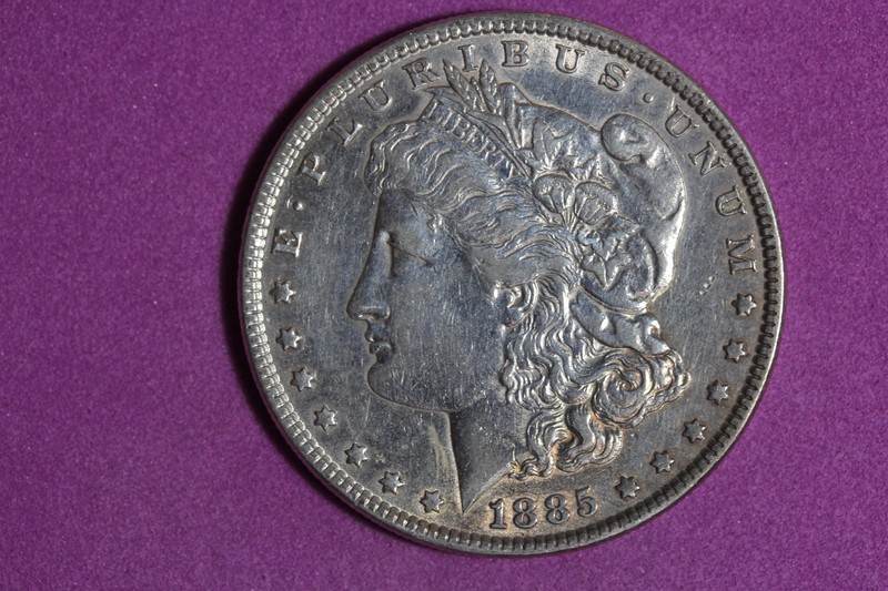 ESTATE FIND 1885 - Morgan Dollar!!  #N08400