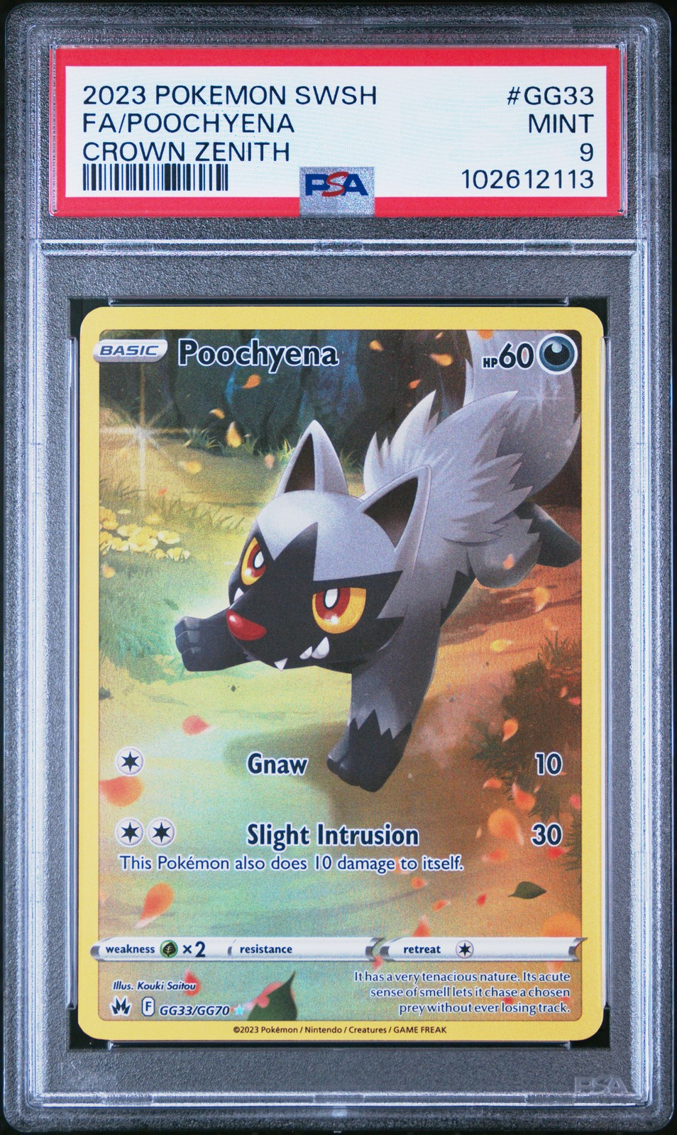 Poochyena #GG33