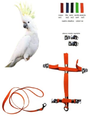 Elastic Harness Metal Detachable Buckles Adjustable Parrots Cockatoo