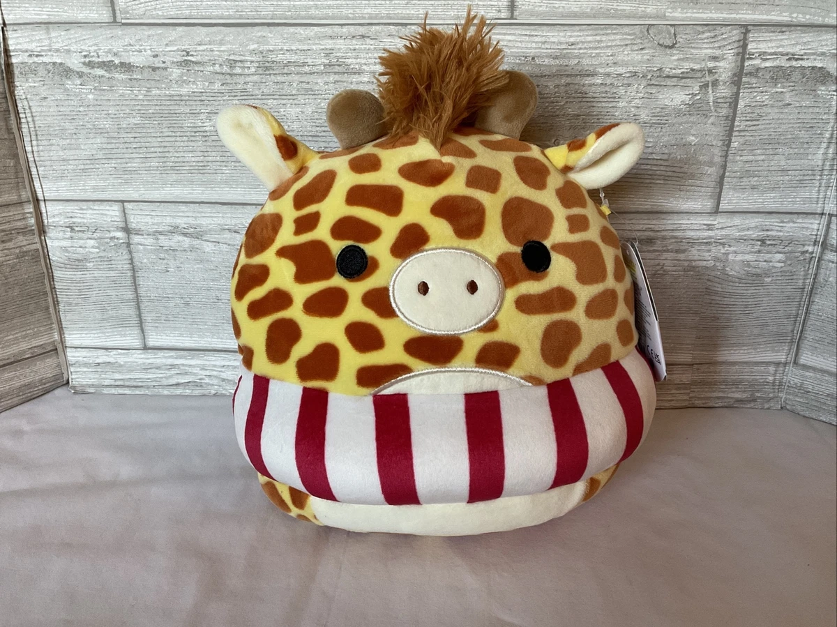 Gary squishmallow sale