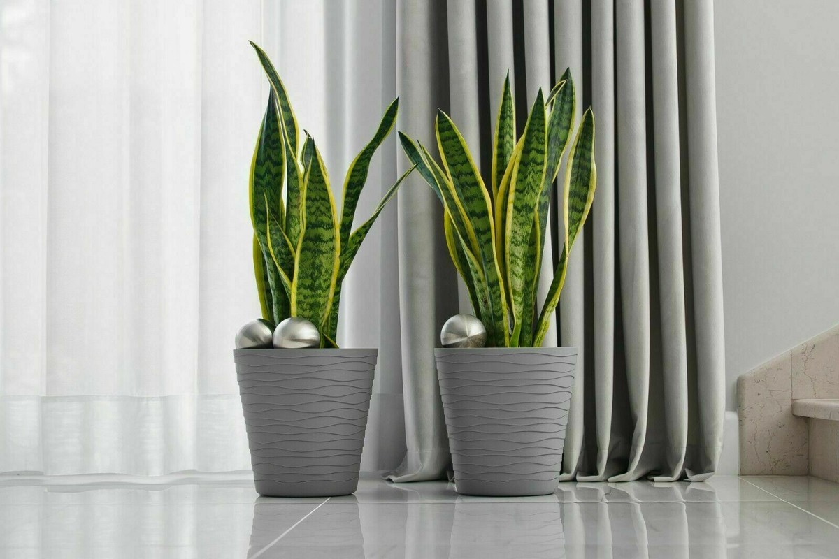 Handelshochschule Einstellung Ehe fensterdeko tedi Vier Bison Rosa