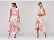 NEW, Kay Unger Beatrix Floral Organza Midi-Dress Pale Pink Size 14 #MD018