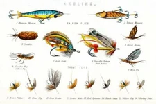 Angling Salmon and Trout Flies Illustration Art Print Poster 24x36 inch