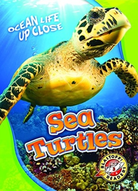 Sea Turtles by Kari Schuetz HARDBACK 9781626174221