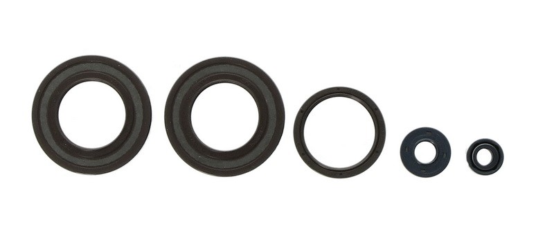 ✅Fits ATHENA P400220400350 Engine gaskets - set  fits HUSQVARNA 510, ⭐UK Seller⭐