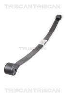Triscan 8765 16040 Federnpaket FüR Ford
