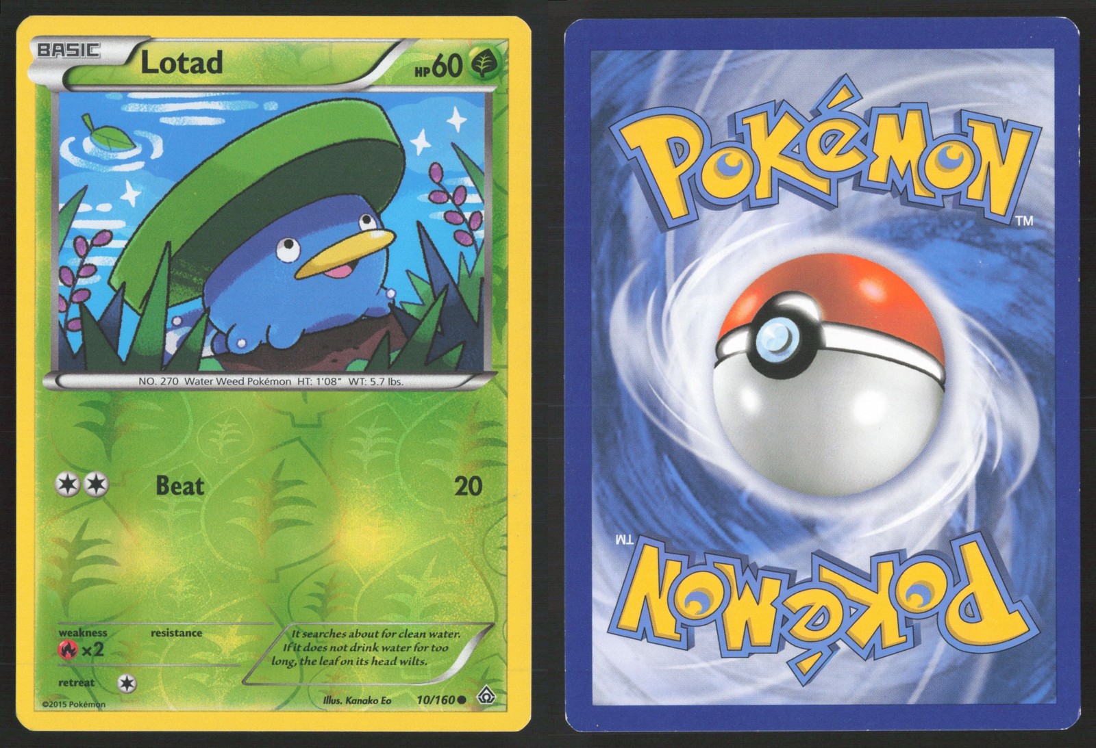 Pokemon TCG | Lotad 10/160 | Primal Clash Common Reverse Holo | Lightly Played