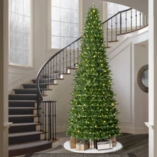 12 ft Pre-Lit Sheridan Sure-Lit Pole Slim Pine Christmas Tree, 800 Color-Changin