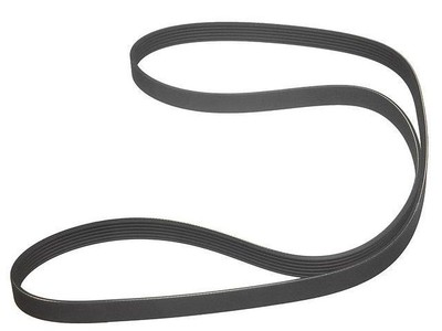 ContiTech 55VZ49N Multi Rib Belt Fits 1998-2003 VW Beetle 1.9L 4 Cyl